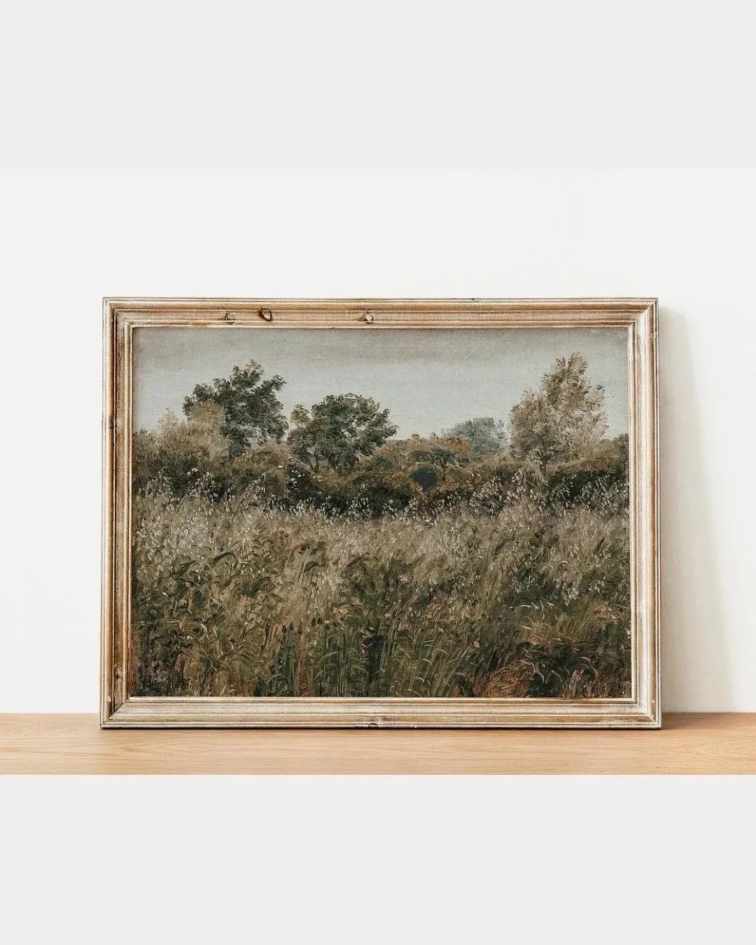 Rustic Vintage European Flower Grass Field | 11x14 Art Print