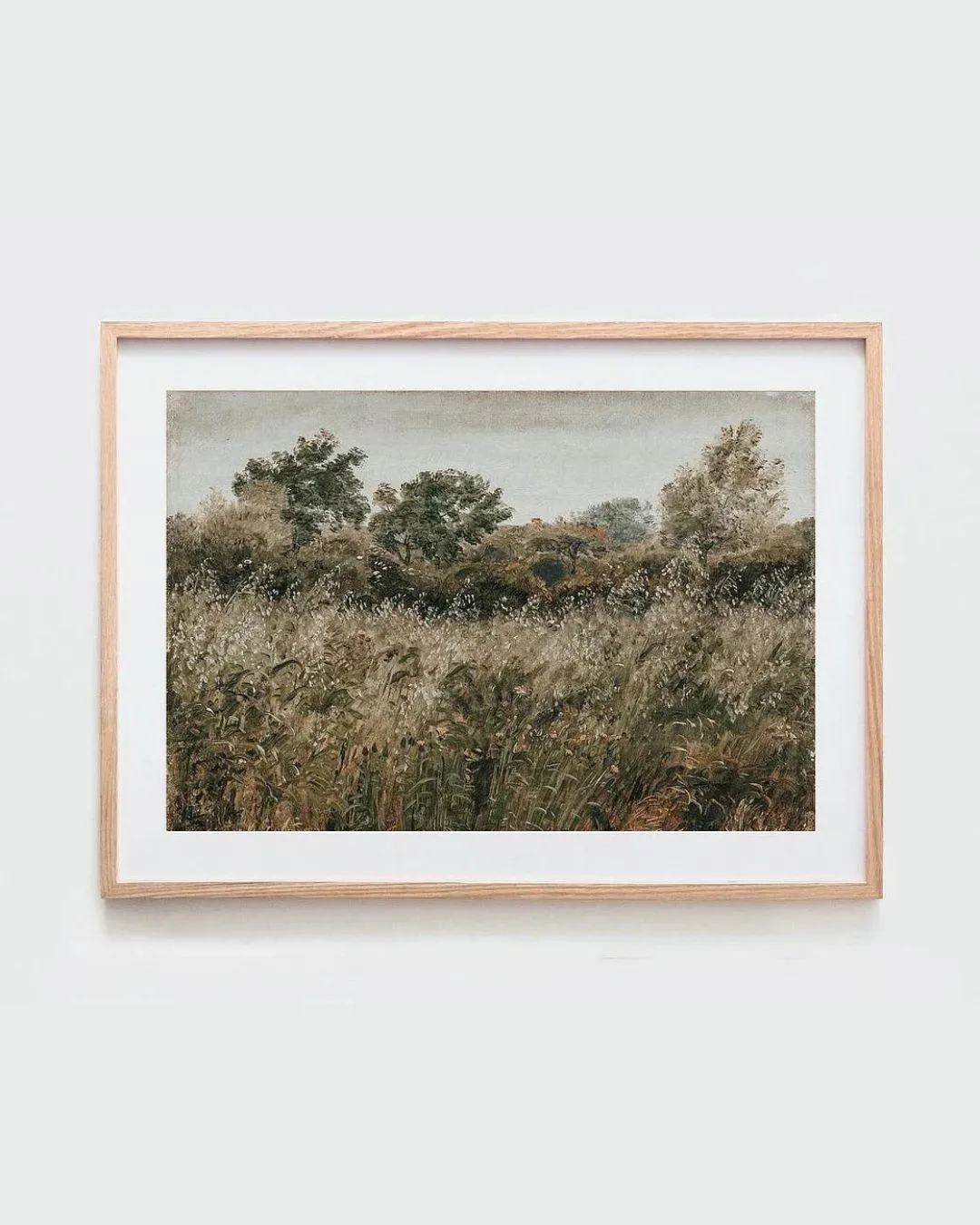 Rustic Vintage European Flower Grass Field | 11x14 Art Print