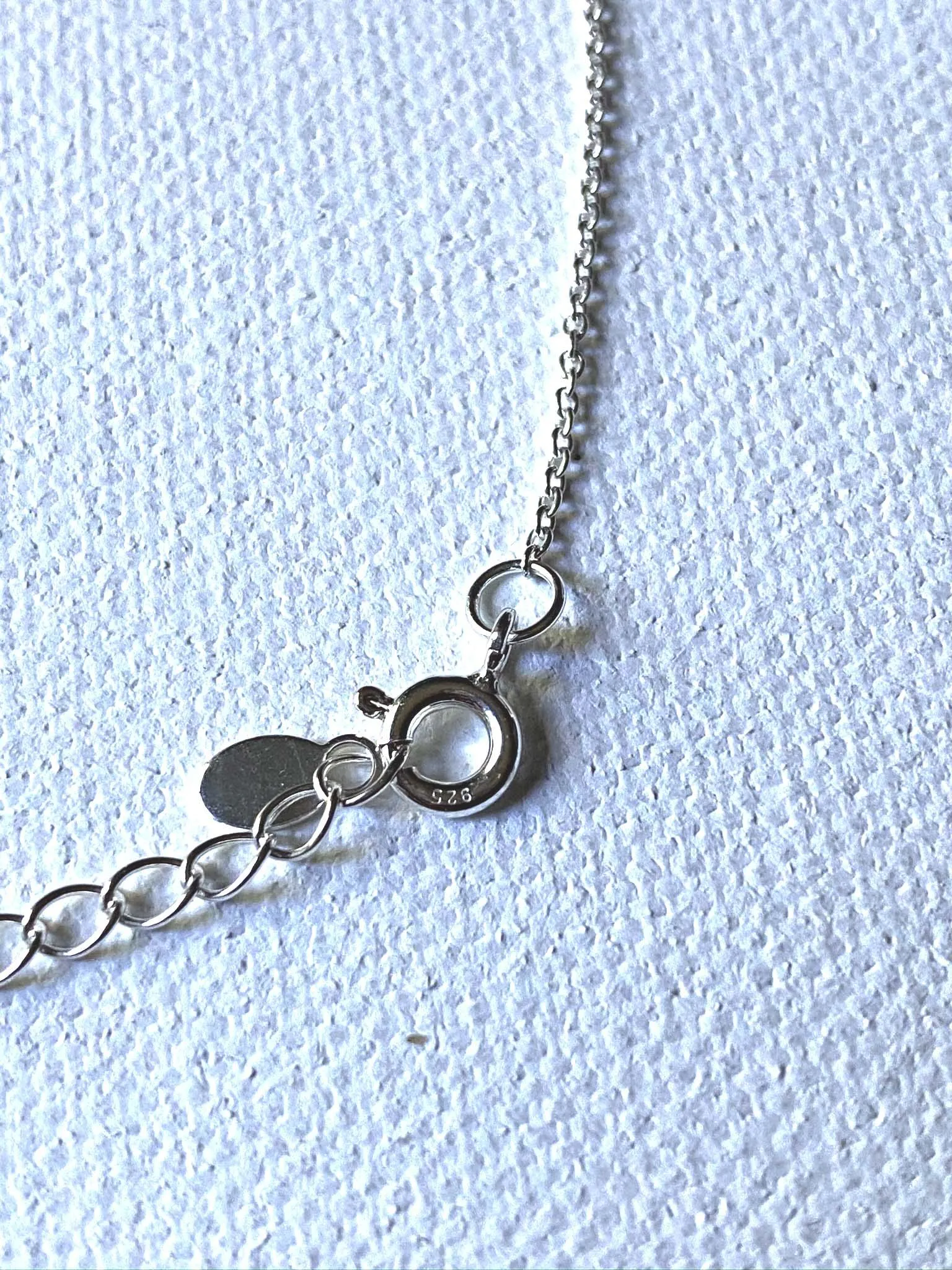 Tropical Charm Anklet/Sterling Silver Anklet